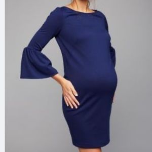 Pietro Brunelli Maternity Bell Sleeve Dress, Size Large